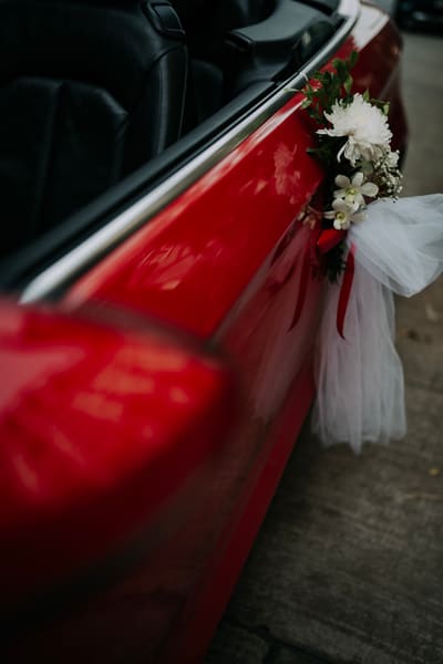 Payal & Michael 46