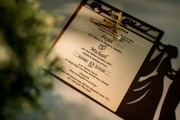 Payal & Michael 47