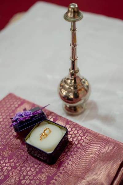 Payal & Michael 113