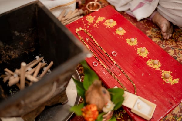 Payal & Michael 15
